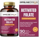 Activated Folate-L 5-MTHF DFE Supplement - Methylfolate B9 MTHF with Vitamin B12, CoQ10, & Red Raspberry - Methylated L-Methylfolate for Men and Women - 500 mcg - 90 Veggie Capsules