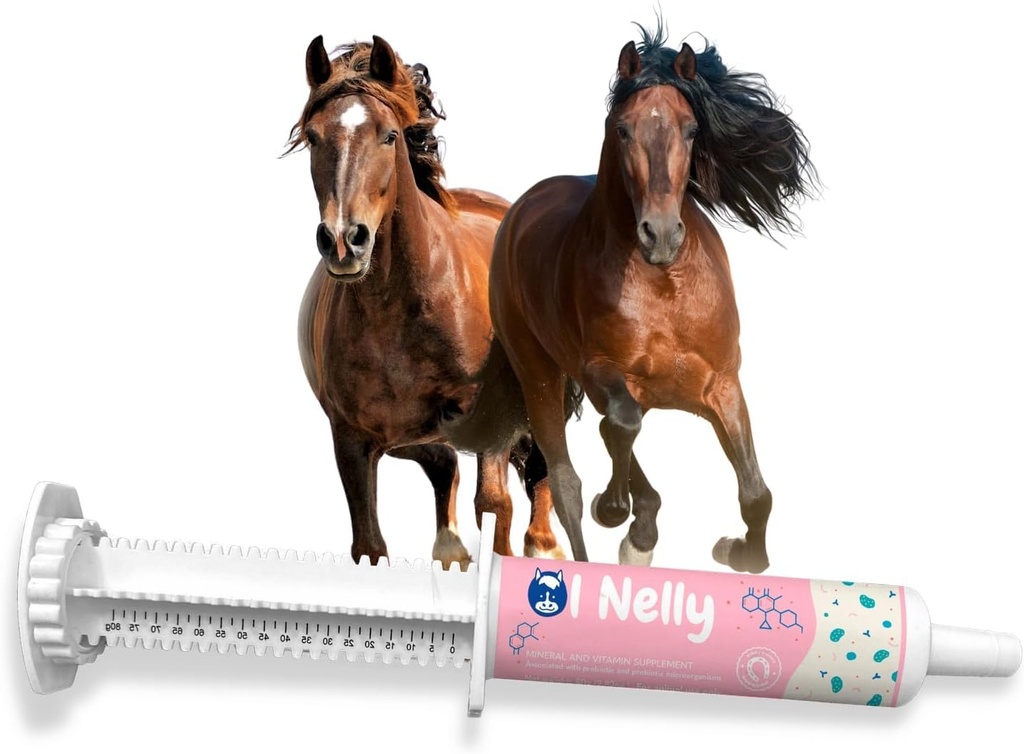 Horse Probiotika (80cc), Horse Paste Pre og Probiotika + Vitaminer & Mineral- 4 Strops og 8 Millioner CFU per Servering - Immun og Gastro Health Support til heste