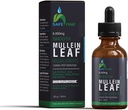 Organic Mullein Tincture Drops for Respiratory Health - Natural Lung Support, Alkohol- Free, Vegan, Non- GMO, Herbal Extract, 2 fl oz (60ml) Natural Sleep Aid & Immunsupport