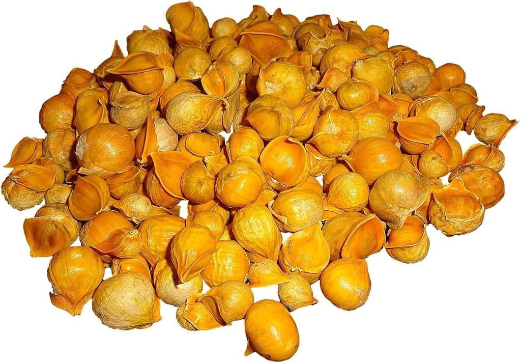 Japansk hvidløg / / AJO Japoner (100% Natural!!) Forskellige vægte: (1 Lb, 5 Lbs, og 10 Lbs) (5 Lbs)