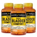 Mason Natural Daily Bregen Comfort, 30, Day Supply, med Calcium, Græskarfrø, og Soy Germ til støtte Normal Blogen Funktion, 60 kapsler (pakke med 3)