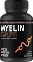 Myelin Caps, Brain Health Supplement, Focus Supplement & Brain Health med AlphaSize, Hukommelse og Kognitiv Funktion Support, Glutenfri, Non- GMO (90 kapsler)