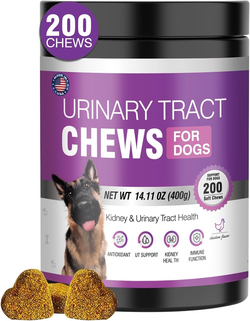 Hund UTI Behandling Cranberry supplement til hunde 200 Chews Urinary Tract Medicine Bstige Control Pills Nyre støtte Cranberrys Extract Bites Puppy UTI Infektion Treats Inkontinens Remedy til hunde