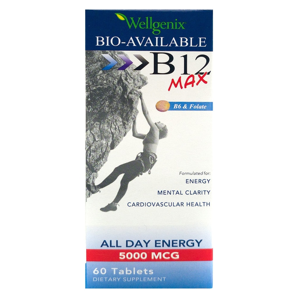 Wellgenix Bio- Tilgængelig Sublingual B12 B6 Folat Vitamin Formuleret til høj absorption - Nutritional Multivitamin Supplement (60 ct) 1 pakning