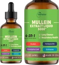 4- in-1 Mullein dråber til lunger, Økologisk Mullein Leaf & Honeysuckle & Eucalyptus Leaf & Echinacea Ekstrakter, for Lung Cleanse, Immunitet & Respiratory Support, Sugar- Free; Non- GROM- 124; Vegan, 2 Fl oz