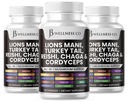 Lions Mane supplement kognitiv støtte, immunforsvar med Tyrkiet Tail 20in1 Mushroom Reishi Cordyceps Chaga med Marshmallow Root -180 Greve