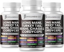 Lions Mane supplement kognitiv støtte, immunforsvar med Tyrkiet Tail 20in1 Mushroom Reishi Cordyceps Chaga med Marshmallow Root -180 Greve