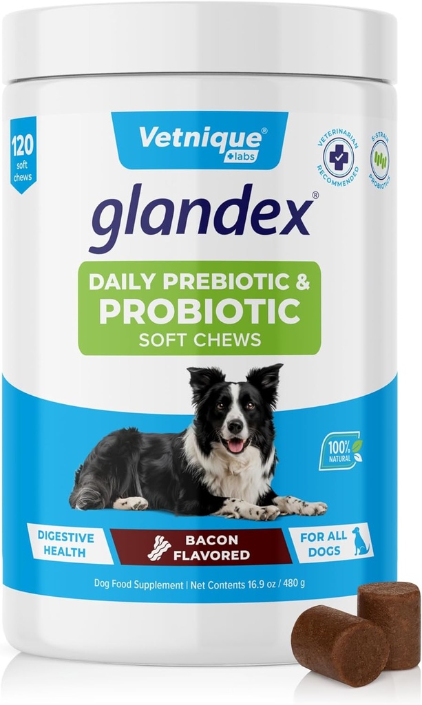 Vetnique Glandex Daglig Probiotika til hunde med Prebiotika til støtte Gut Sundhed med Fiber og fordøjelsesenzymer, Probiotiske Chews eller Powders (120kt Chews, Bacon Chews)