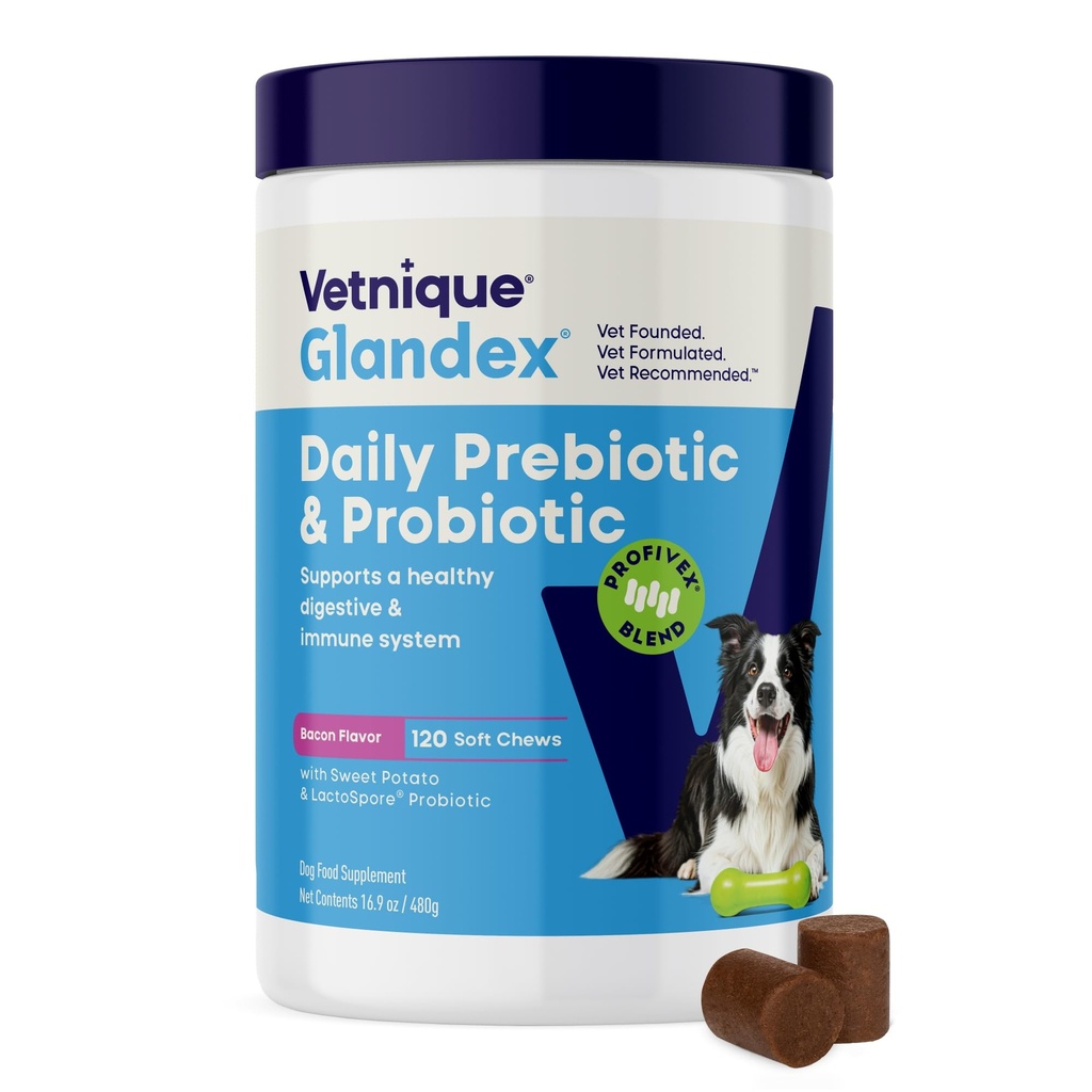 Vetnique Glandex Daglig Probiotika til hunde med Prebiotika til støtte Gut Sundhed med Fiber og fordøjelsesenzymer, Probiotiske Chews eller Powders (120kt Chews, Bacon Chews)