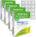 Boiron AllergyCall tabletter 240 Greve, Relief fra Allergier og Hay Fever Symptomer på nysen, Runny Næse, Itchy Eyes, Hals, Allergy Calm Tabs (Tidligere RhinAllergy) (pakke med 4 60ct bokse)