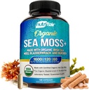 NutriFlair Organic Sea Moss 1600mg, 120 Capsules Plus Bladerwrack & Burdock - Prebiotic Super Food - Immunsystem & fordøjelsessygdomme - Thyroid, Sund hud, Keto Detox, Gut