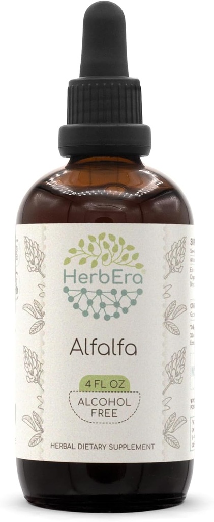HerbEra Alfalfa B120 Alcohol-Free Herbal Extract Tincture, Concentrated Liquid Drops Natural Alfalfa 4 fl oz
