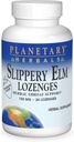 Planetariske Herbals Slippery Elm Lozenges, Jordbær, 24 Greve