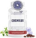 Cognilux - Hjernetilskud til hukommelse og fokus - Nootrop Focus supplement med Niacin, vitamin B6, GABA og mere - Hukommelsestillæg til hjerne, hjerne sundhed, 60 kapsler
