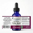 HoneyCombs Vitamin B9 Liquid Drops - High Potency Liquid Vitamin B9 Folinsyre supplement til kvinder - Opretholde sund lever, Graviditet, & Samlet sundhed - kold presset Vegan Vitamin Drops (1 Fl oz)