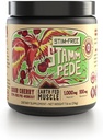 Earth Fed Muscle Stammpede Sour Cherry Pre Workout Pulver til mænd og kvinder, Pre Workout Ingen Koffein, Vegan & Gluten Gratis, øger fokus & Endurance, Lions Mane, Taurine, Peak O2, 30 Servere
