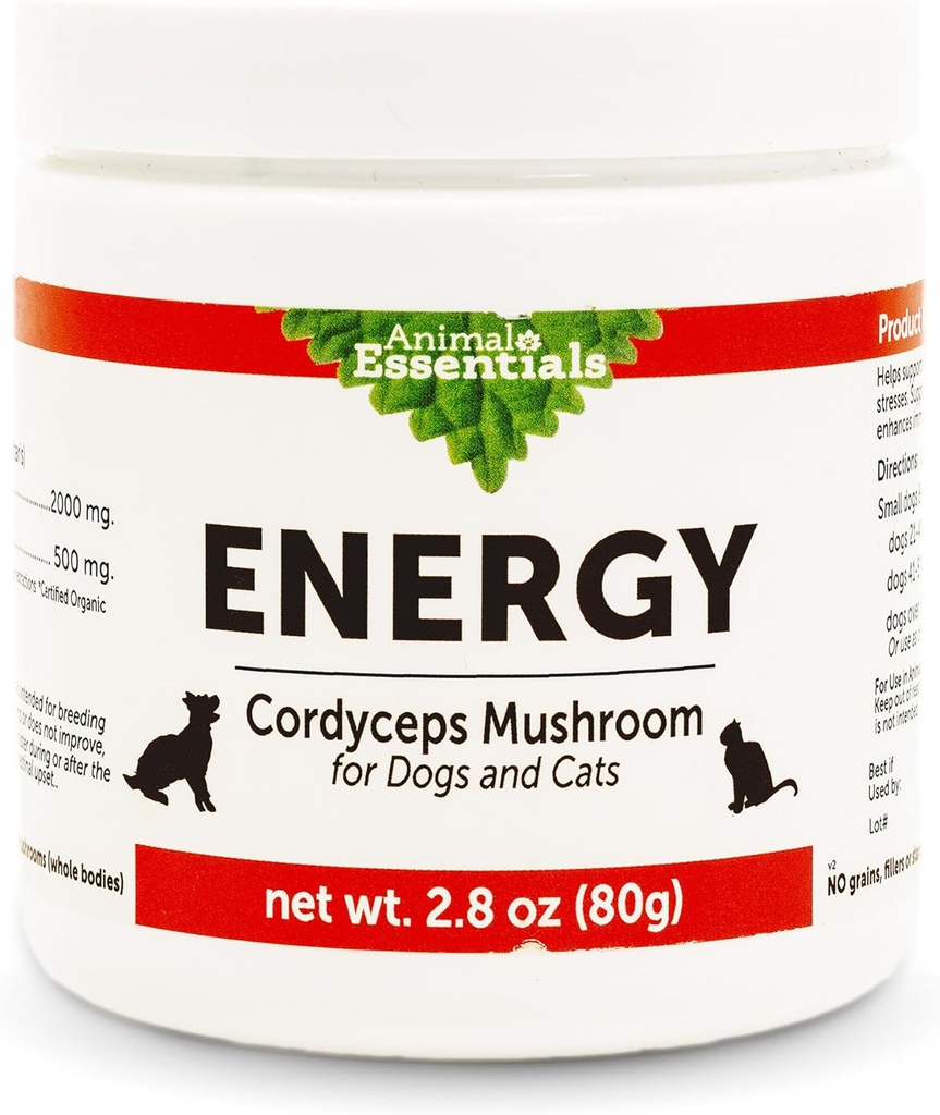 Animal Essentials Energy Cordyceps Mushroom supplement til hunde & katte - Support Stamina & Endurance, sunde luftveje & Nyrefunktioner, Antioxidant, Mushroom Powder Extract - 2.8 Oz (pakke med 1)