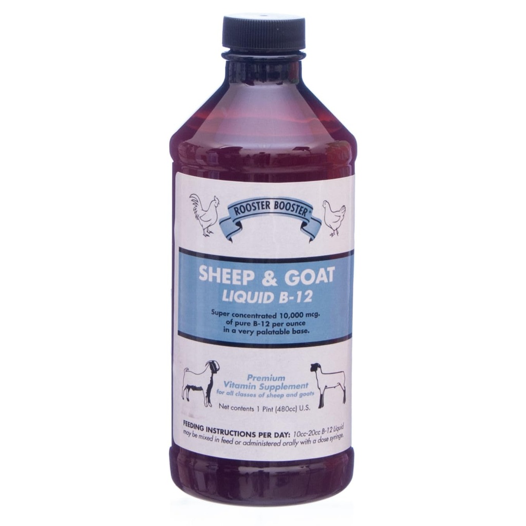 Rooster Booster B- 12 Får og Geder Flydende, 16 -Ounce