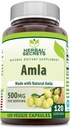 Herbal Secrets Amla Supplement 124; 500 Mg Per Serving