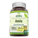Herbal Secrets Amla Supplement 124; 500 Mg Per Serving