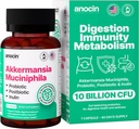 Akkermansia Muciniphila + Probiotic, Postbiotic & Inulin - Gut Health Supplement for fordøjelse, immunforsvar - 10 milliarder CFU, Vegan & Gluten- Free