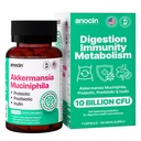 Akkermansia Muciniphila + Probiotic, Postbiotic & Inulin - Gut Health Supplement for fordøjelse, immunforsvar - 10 milliarder CFU, Vegan & Gluten- Free