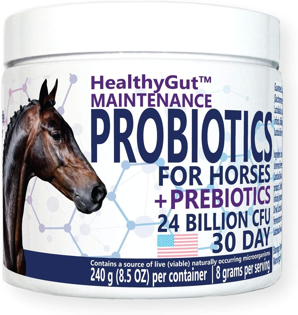 HealthyGut ™ Probiotika til heste Kosttilskud, All- Natural fordøjelsessystem vedligeholdelse Formel (30 dage)