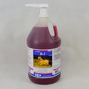 SU- PER B-1 Horse Calming Supplement - Equine Vitamin B-1 Support Horse Calmer Liquid - Appetit Booster Supplement til heste - 1 Gallon + Pump, 4 Måned Supply