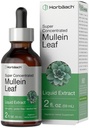 Horbäach Mullein Leaf Extract Drops Name 124; 2 fl oz