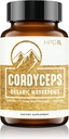 HPD Rx Premium Organic Cordyceps Mushroom Extract Performance Supplement for Energy, Endurance og Immunity MSD 124; 2250 mg, 120 kapsler, pakke med 1