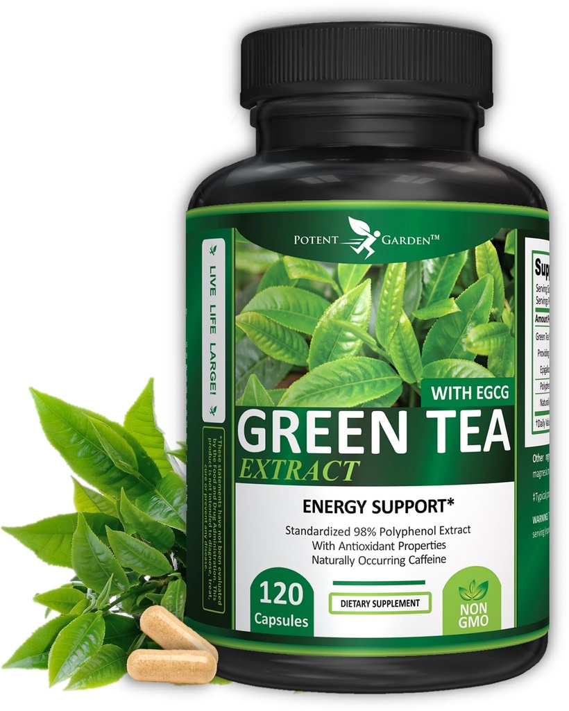 Potent Have Green Tea Extract med EGCG Natural Energy, Mental Focus, immunforsvar, Antioxidant og sund hjerteformel, Non- GMO 120 Green Tea Extract kapsler