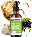 Collagen Mojo - Flydende Collagen for kvinder & mænd, Collagen Peptider med løvens Mane Mushroom, Elderberry & L- Theanine - hår, hud, negle, fælles støtte, fokus, høj absorption - 100,000mcg, 2 Oz