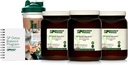 Standard Process SP Detox Balance Kit, 28- Day Program - Detox Rengøring med Pea Protein, Jern, Magnesium & Cholin - Vegan, Non- Dairy & Gluten- Free (3 Pack)