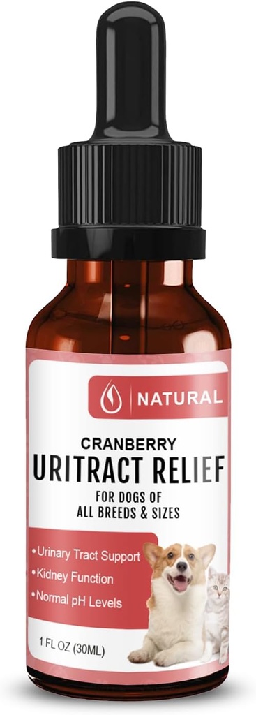 Hund UTI Treatment Measurement 124; Pet Renal Health & UTI Care Drops Measurement 124; Cranberry Supplement for Hund Measurement 124; Kat Urinary Tract Infektion Treatment Measurement 124; Bstige Control for Hund
