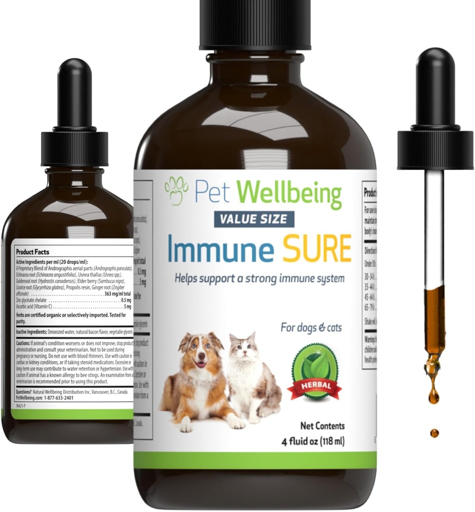 Pet Wellbeing immun Sikker for hunde - understøtter normale immunforsvar, Gut Flora Balance, Andrographis, Echinacea, C-vitamin, Zink - Veterinarian- Formuleret Herbal Supplement 4 oz (118 ml)