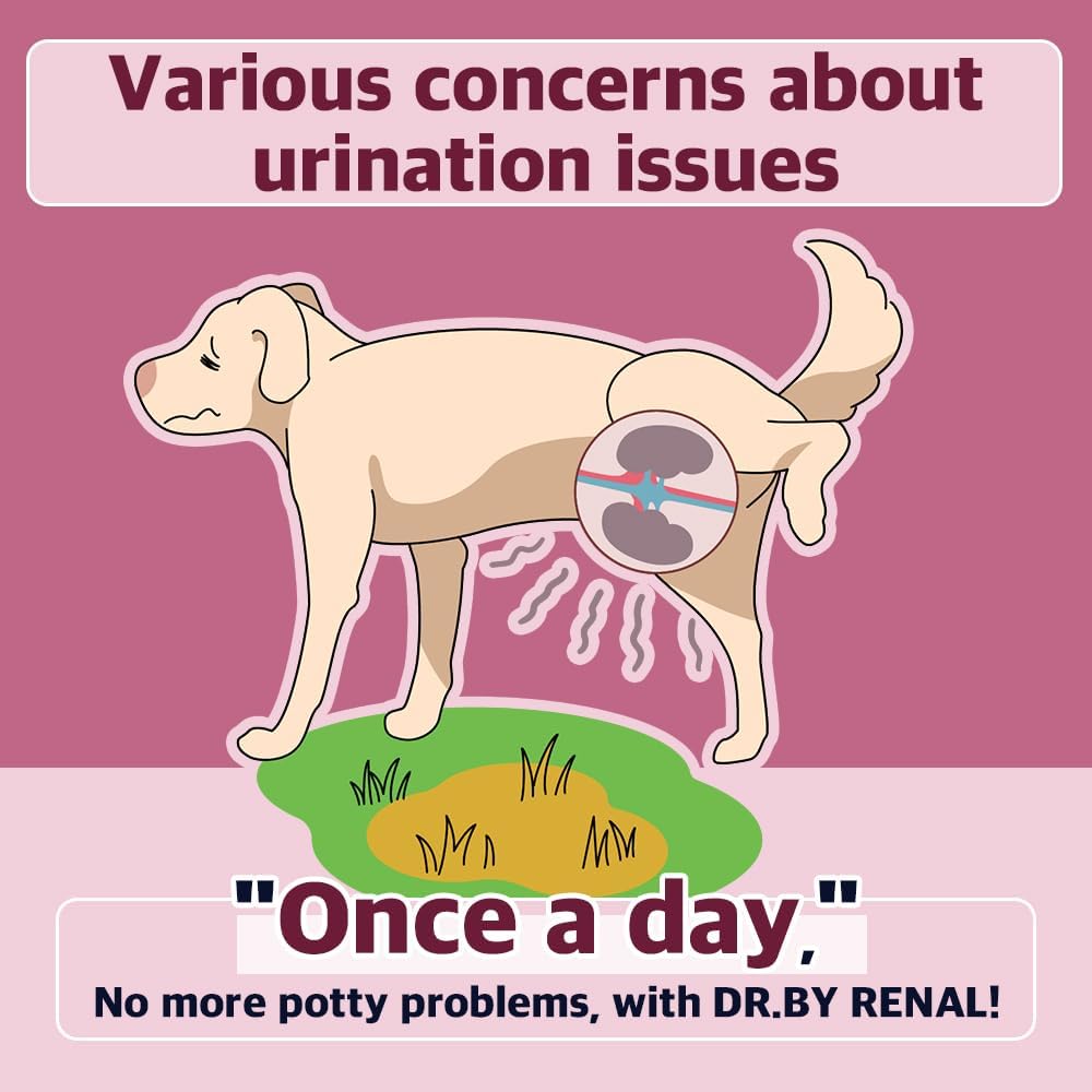 Dr.by Nyre Nyre Bstige Urethra Nutritional Supplement for hunde og hvalpe - Sweet Potato Flavored Dog Supplement for hund UTI, 30 Greve individuelt pakket (pakke med 1)