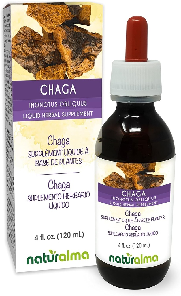 Naturalma Chaga (Inonotus obliquus) Fungus or Mushroom Alcohol-Free Tincture - 4 fl oz Liquid Extract in Drops - Herbal Supplement - Vegan