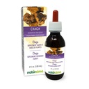 Naturalma Chaga (Inonotus obliquus) Svampe eller champignon Alkoholfri tinktur - 4 fl oz flydende ekstrakt i drops - Urtetilskud - Vegan