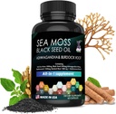 60 Tang kapsler Supplement, Økologisk Tang, Tang kapsler, Beriget med mineraler og Burdock Root, Pure Natural Tang, Øger immunsystem, Gut, og energi