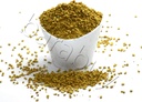 Vilmark BEE Pollen 100% Pure Natural Ikke Forarbejdede Bee Pollen Granules 5 lbs, Yellow, Pack of 1