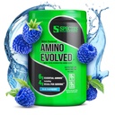 Art Nutrition Amino Evolved EAA & BCAA pulver, Gæret forgrenet kæde Aminosyrer, Muscle Recovery & Endurance, Pre & Post Workout Supplement (Blå Hindbær, 30 Servering)