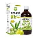 Basic Ayurveda Aloe Amla Mix Juice Note 124; Blanding af Aloe Vera & Amla Fruit