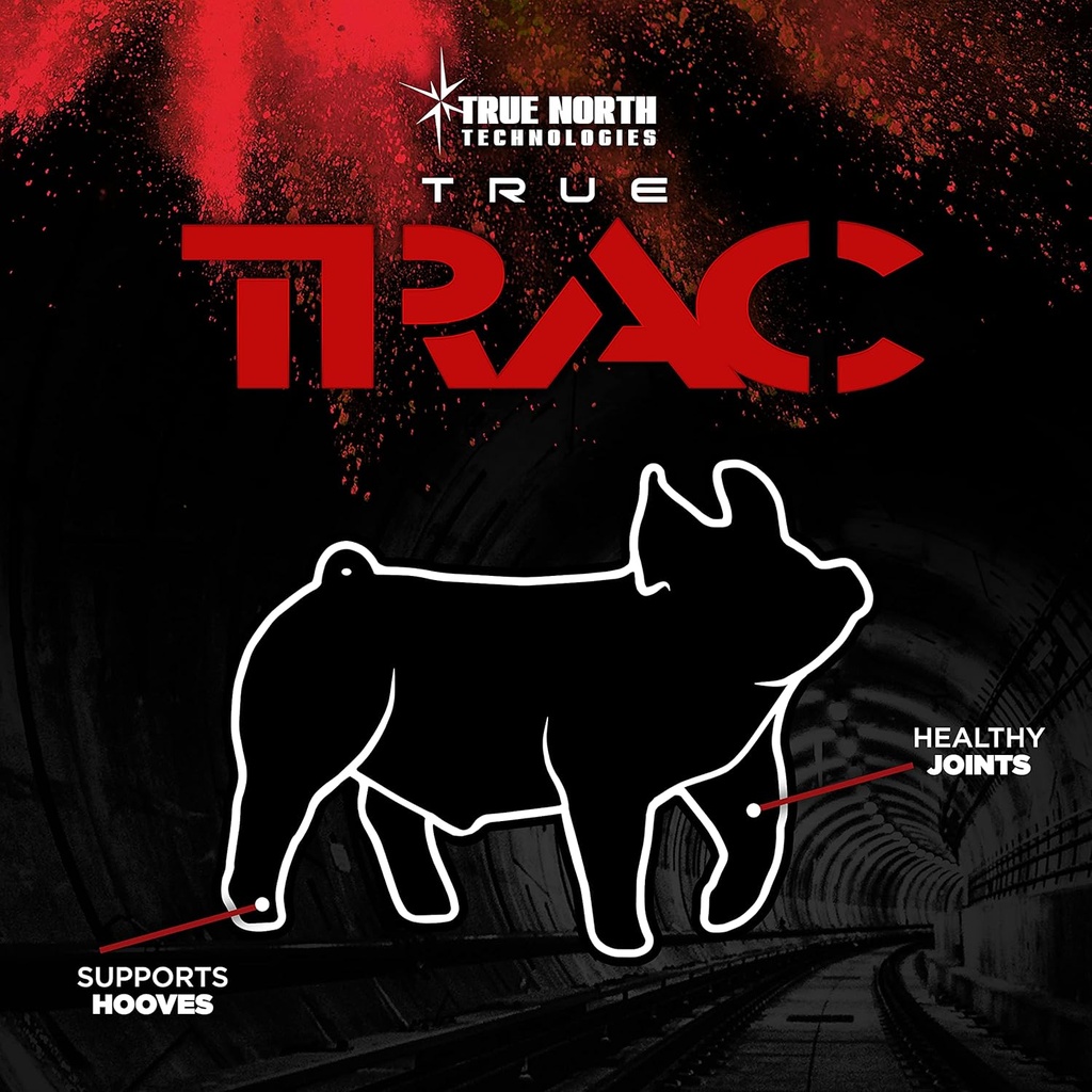 True Trac