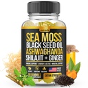 Sea Moss, Black Seed Oil, Ashwagandha, Ginger, Shilajit Gummies med Elderberry, Chlorophyll, Turmerisk Bladderwrack Sea Moss Gummies Advanced Strength Formel - Alt i 1 bundle - USA Made (60 Gummies)