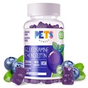 Kæledyr Purest Glucosamine Chondroitin Gummies med MSM & Elderberry Extra Strength - fælles støtte, Antioxidant immunsupport for voksne, Mænd & Women.60 Blueberry Gummies