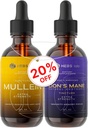 Bundle - Mullein Leaf Extract & Lions Mane Mushroom Supplement - Respiratoriske Support & Brain Support