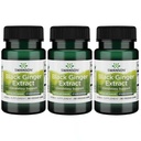 Swanson Black Ginger Extract - fremmer sund blodcirkulation og fysisk Vigor - Kan hjælpe hjerte sundhed, muskelvæv, og Mental Wellbeing - (30 Veggie kapsler, 100mg Hver) (3 Pack)