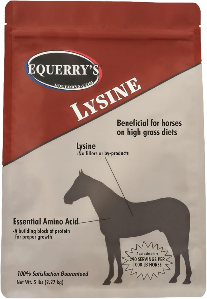 Equerry's Lysine Supplement for Horses | Lysine Powder Supplement for Muscle Support and Immune Health | Balances Forage-Based Diets | 5Ib Bag