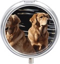Pill Box 3 Segment Round Pill Organizer Daily Small Pill Case for Travel Golden Retrievers Metal Pill Container Portable Medicine Organizer for Pill Vitaminer Fish Oil Supplement