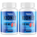 Nyretilskud - Nyrerensning Detox med 600 mg Niacinamid & Chitosan Oligosaccharides - Phosphorus- Bevidsthedsformel - Vegetariske kapsler til voksne - 2 flasker